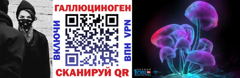 это как зайти  Почеп  Псилоцибиновые грибы GOLDEN TEACHER 